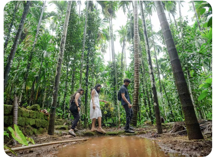 Travel Beyond the Ordinary to the Goan Hinterlands